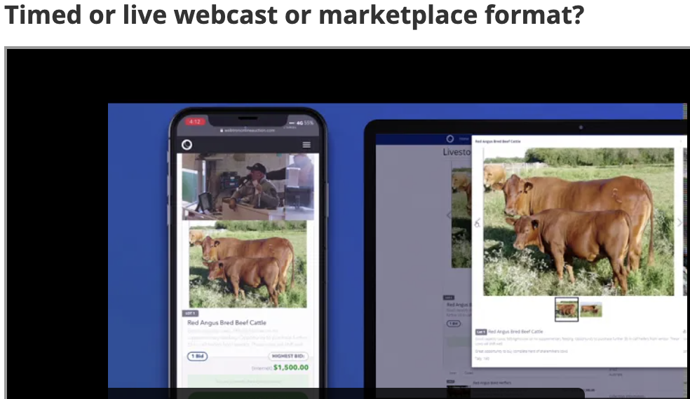 Livestock Online Auctions Platform - Webtron Online Auction